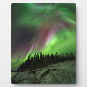 Corona Aurora Plaque