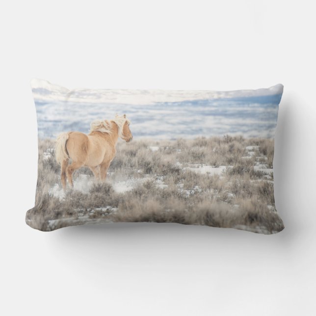 Corona Lumbar Cushion (Front)