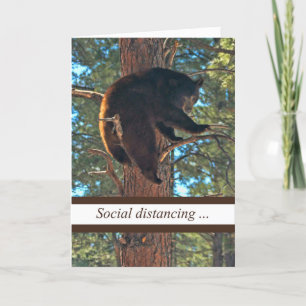 Corona Virus Funny Social Distancing Bear in Tree Card