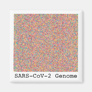 Coronavirus DNA Magnet