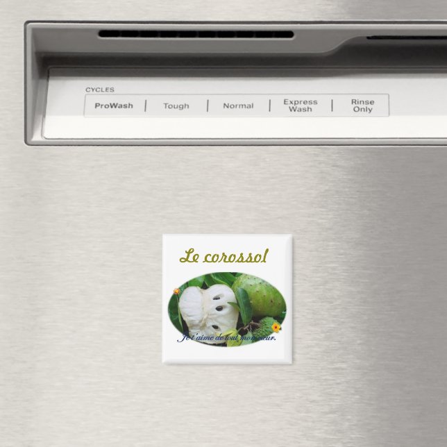 corossol magnet (In Situ (Dishwasher))