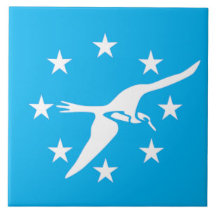 Corpus Christi city flag Tile