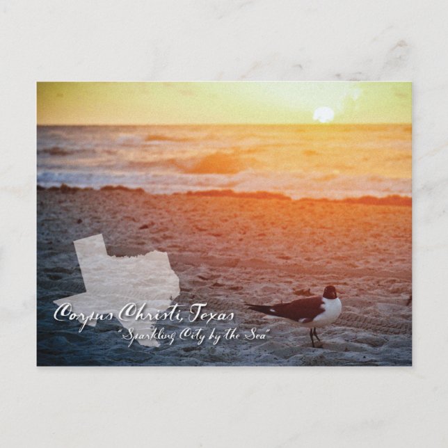 Corpus Christi, Texas postcard (Front)