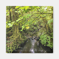 Corral Creek, Oregon