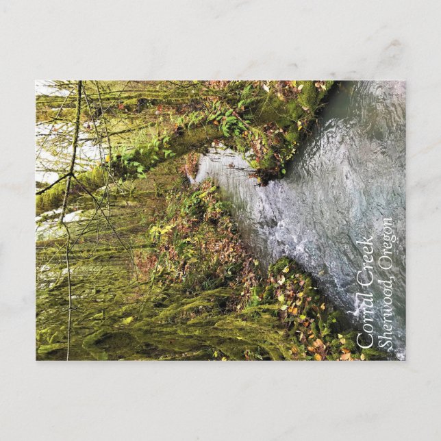Corral Creek Postcard (Front)