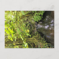 Corral Creek