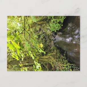 Corral Creek Postcard