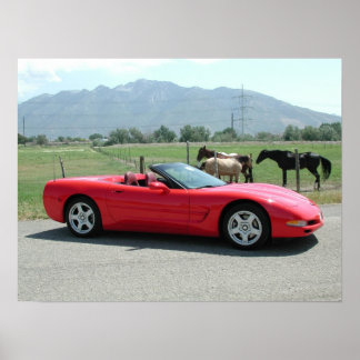 Corvette C5 Convertible Chevrolet Poster