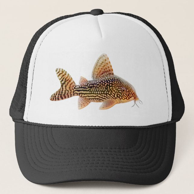 Corydoras Sterbai Catfish Hat (Front)