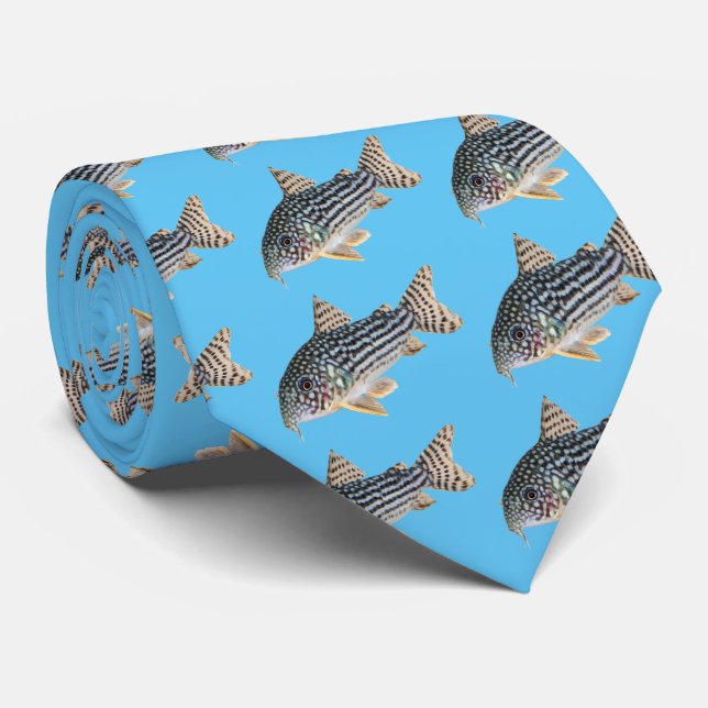 Corydoras sterbai tie (Rolled)