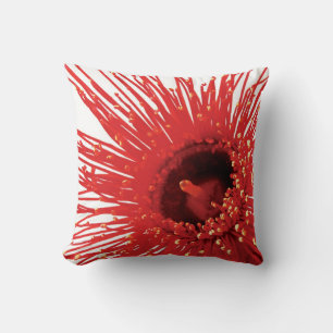 Corymbia ficifolia "Wildfire" photo square pillow