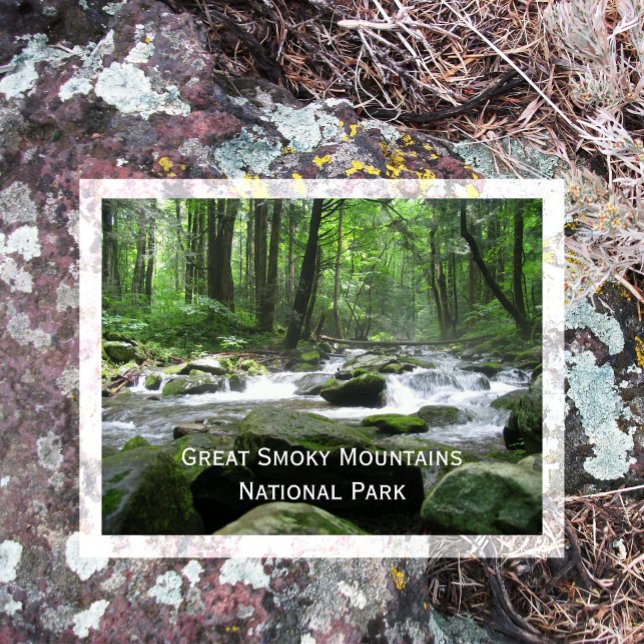 Cosby Creek, Great Smoky Mountain National Park Postcard (Creator Uploaded)