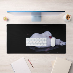 Coscoroba Swan P3442 Desk Mat