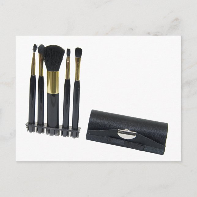 CosmeticBrushes072509 Postcard (Front)