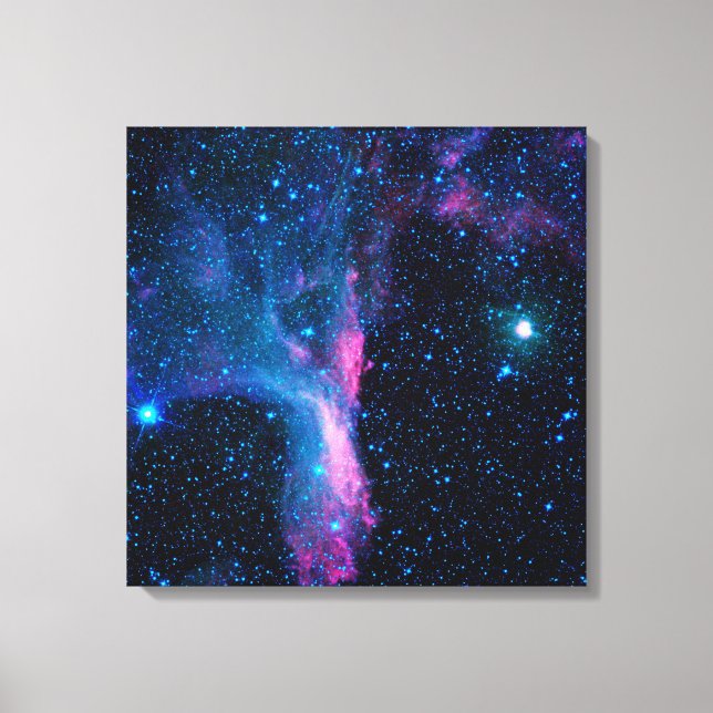Cosmic Ballerina in space NASA Canvas Print (Front)