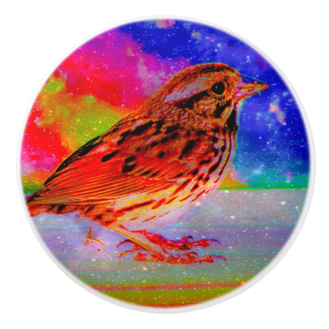 Cosmic Bird Dreamscape Art Print" Ceramic Knob (Front)