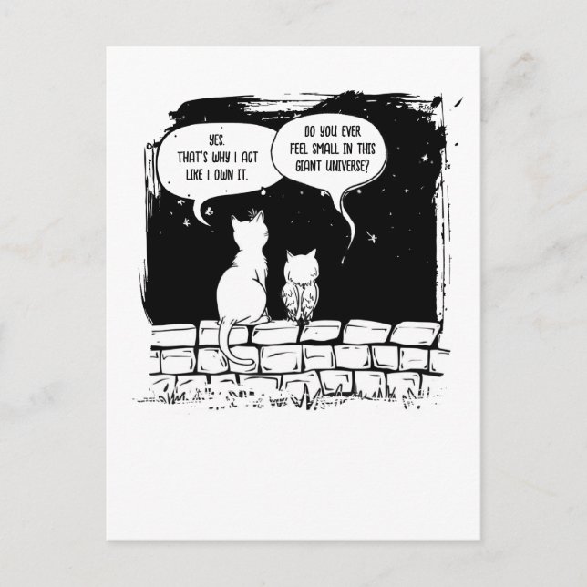 Cosmic Cat Perspective Funny Cat Art Postcard (Front)