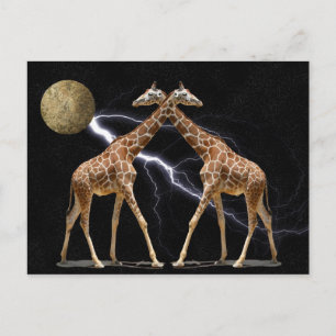 COSMIC GIRAFFES 2 POSTCARD