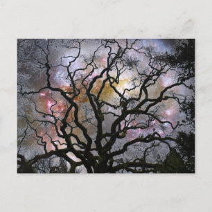 Cosmic Tree - Colliding Galaxies Postcard