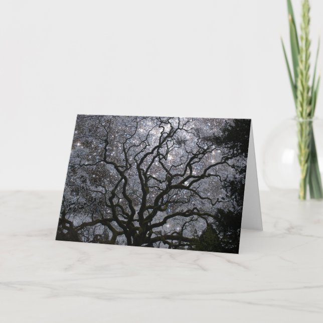 Cosmic Tree - Star Cluster Holiday Card (Front)