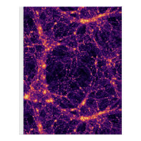 Cosmic Web