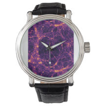 Cosmic Web