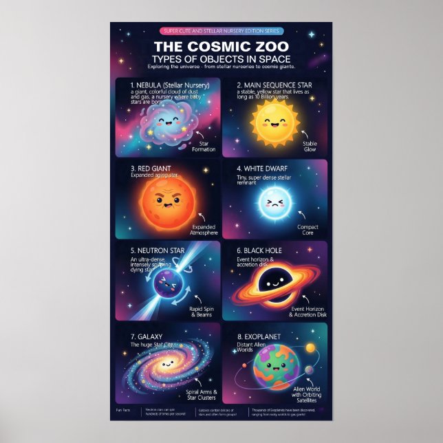 Cosmic Zoo Space Objects Astronomy Infographic Poster (Front)