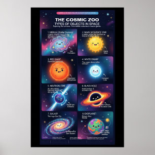 Cosmic Zoo Space Objects Astronomy Infographic Poster