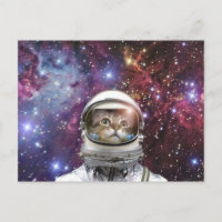 Cosmonaut cat