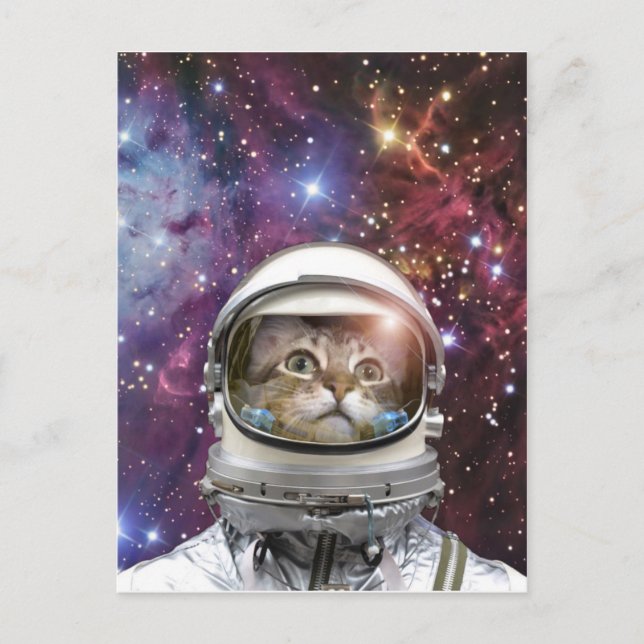 Cosmonaut cat postcard (Front)