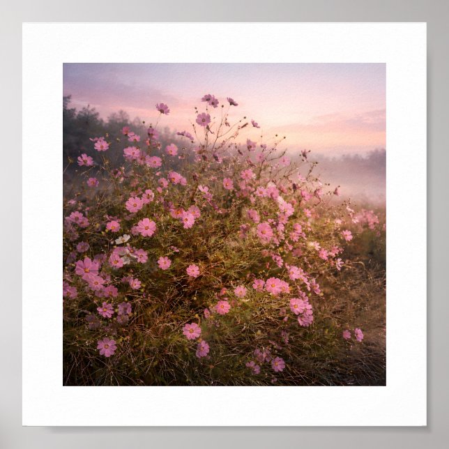 Cosmos at Quiet Dawn – Soft Morning Meadow  Poster (Front)
