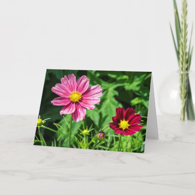 Cosmos Blank Note Card (Front)