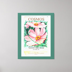 Cosmos Canvas Print