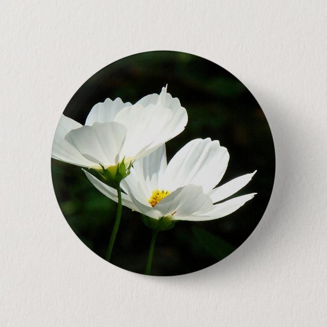 Cosmos Daisy Flowers 6 Cm Round Badge (Front)