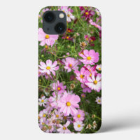Cosmos Flower (Bidens Formosa). Kirkwood