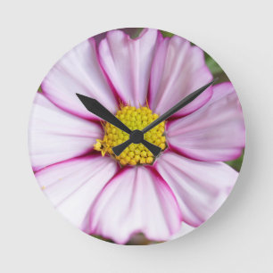 Cosmos Flower (bidens formosa) Round Clock