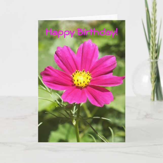 Cosmos Flower  Birthday Card (Front)