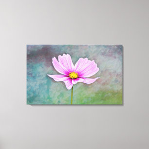 Cosmos Flower in Pink Photographic Art Canvas Print
