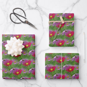 Cosmos Flower Nature Pattern   Wrapping Paper Sheet