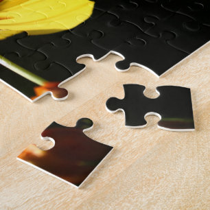 Cosmos flower - Puzzles