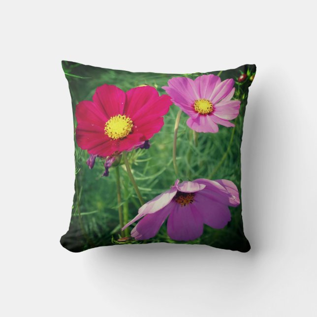 Cosmos Flower Trio  Cushion (Front)