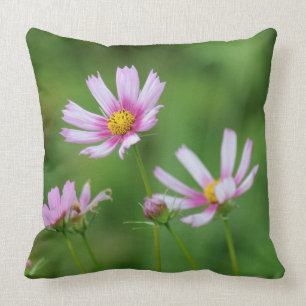 Cosmos Flowers Cushion