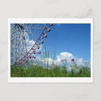 Cosmos Flowers & Ferris Wheel: Japan Postcard