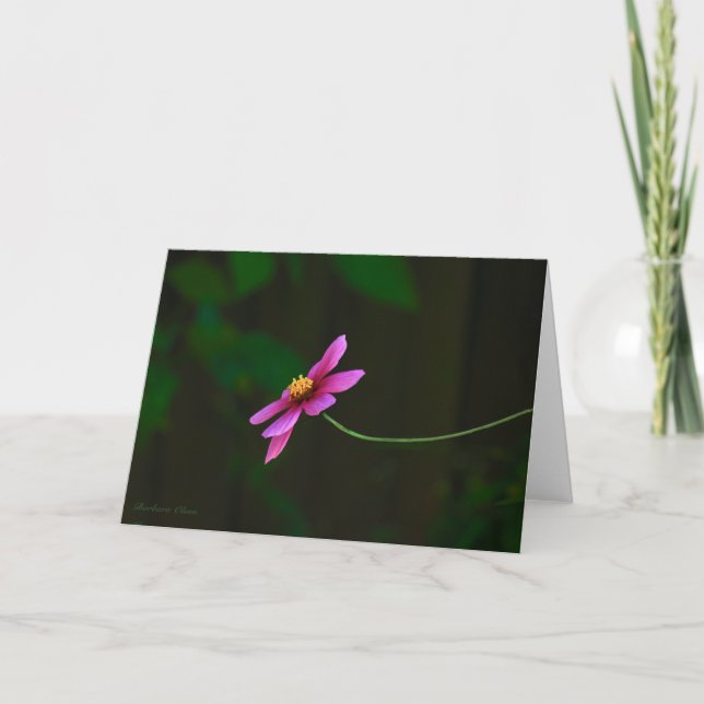 Cosmos Flowers-Gratitude: with Quote Card (Front)