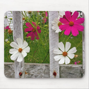 Cosmos Flowers in an Old Fence Mouse Pad