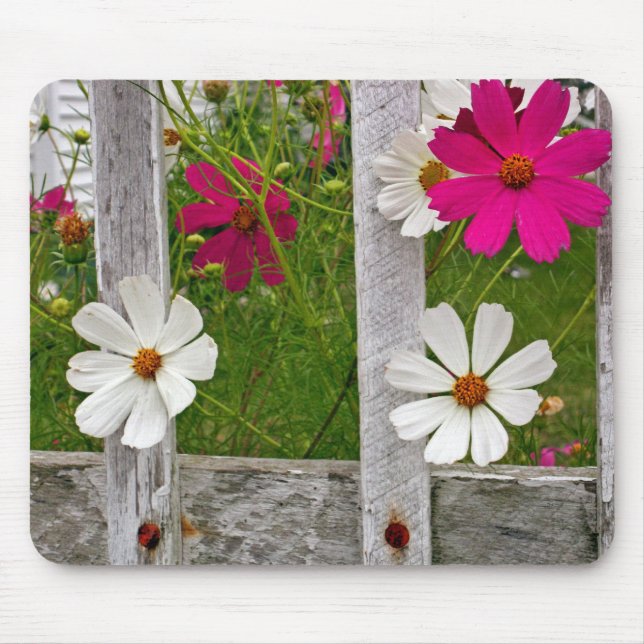 Cosmos Flowers in an Old Fence Mouse Pad (Front)