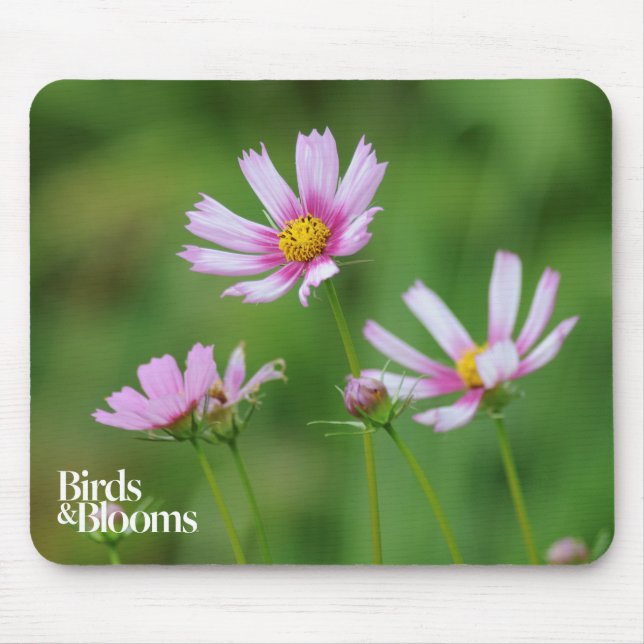 Cosmos Flowers Mouse Pad (Front)