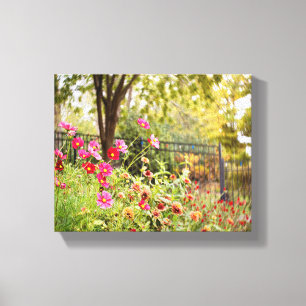 Cosmos Garden 8 x 10 Canvas Wrap by DeGruy Print