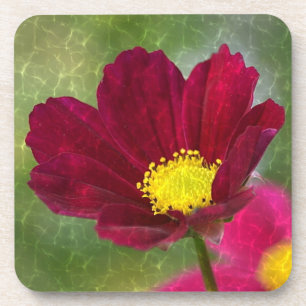 Cosmos Glory Coaster