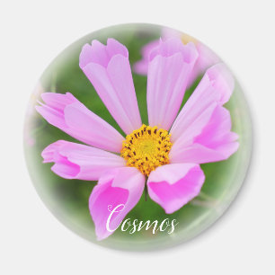 Cosmos MAGNET